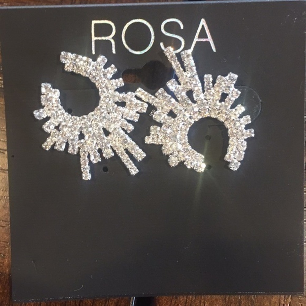 Rosa Post Earrings NEVER worn.